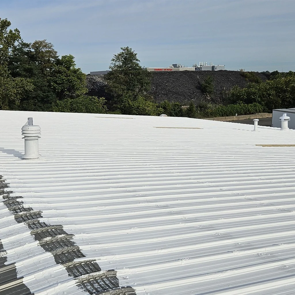 Coated commercial roof